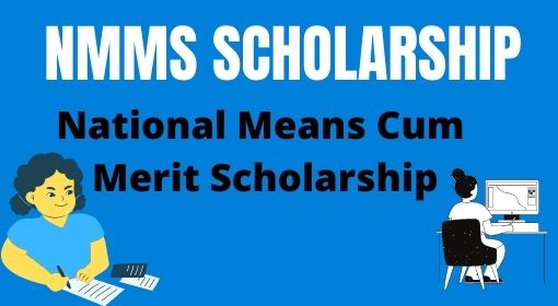 nms scholarship form online