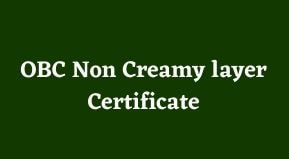 Bihar OBC Non Creamy layer Certificate | OBC NCL Certificate Form Online