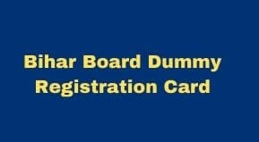 Bihar Board 10th Dummy Registration Card 2024 | BSEB Dummy Registration Card Download Date 2024