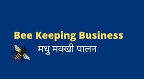 ee Keeping Business Kaise shuru karen | Madhu makkhi Palan Business in Hindi 2021