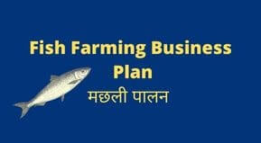 Fish Farming Business Plan in Hindi | मछली पालन योजना